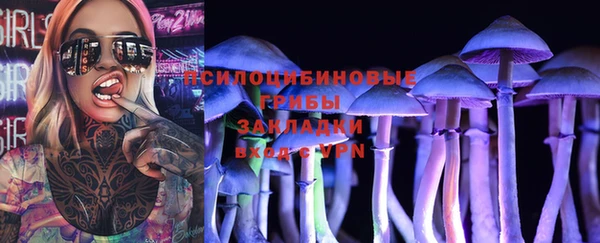 дурь Пролетарск