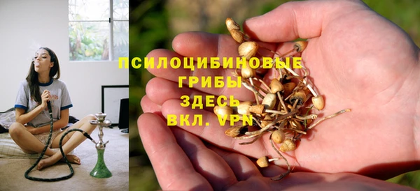 крисы Приозерск