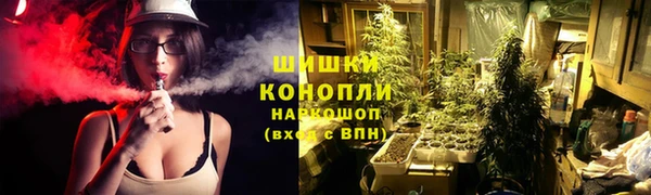 крисы Приозерск