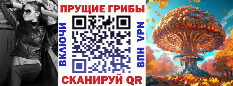 цена   Адыгейск  Псилоцибиновые грибы MAGIC MUSHROOMS 